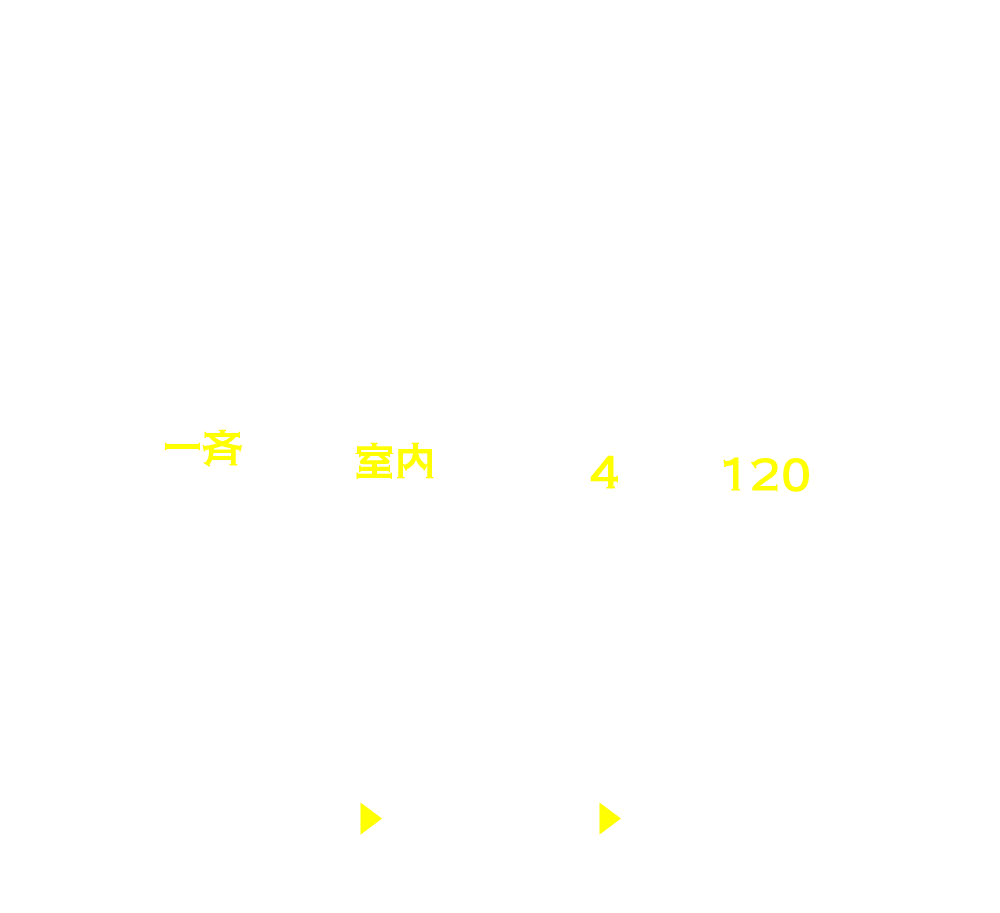 フォーマット